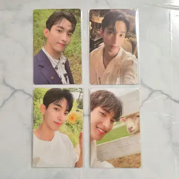 SEVENTEEN 도겸 socialclub 트레이딩 카드 염소