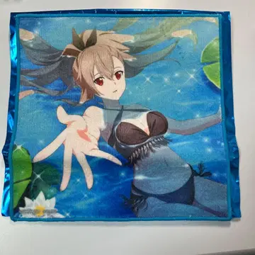 미니 타월 이디스