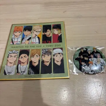 하이큐!! Tobu Zoo 콜라보 캔뱃지 색지 2세트