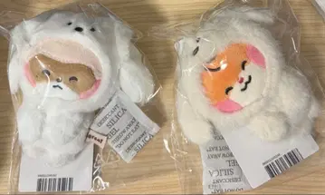 zeroni 비니니 binini 하니니 hanini 마그넷 사진 홀더