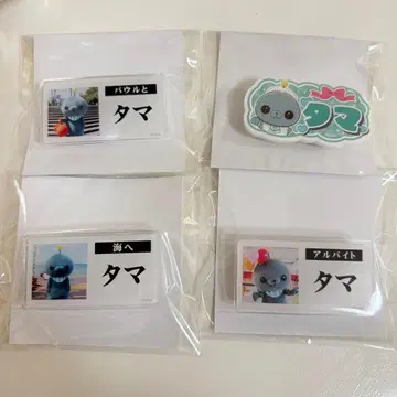 교육 방송 칭찬칭찬 카페 트레이딩 명찰풍 배지