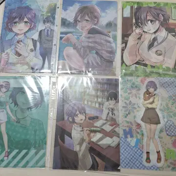 뻐꾸기 커플 세가와 히로 클리어 파일 6종 세트