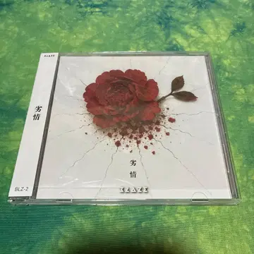 BLAZE [ 열정 ] 배포 CD