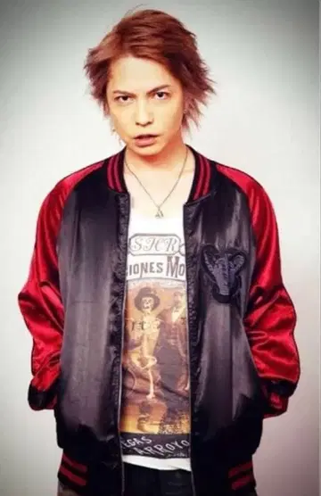 HYDE 스카잔 라르크 VAMPS 레어