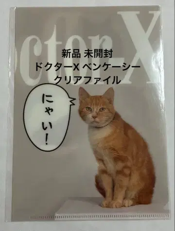 레어 닥터X 벤케이시 고양이 A5 클리어 파일 드라마 TV 아사히