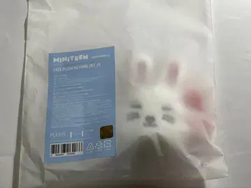 SEVENTEEN miniteen 에스크 키링