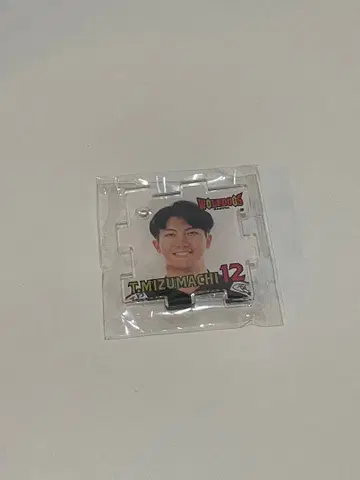 울프독스 나고야 퍼즐형 키링 미즈마치 타이토 선수