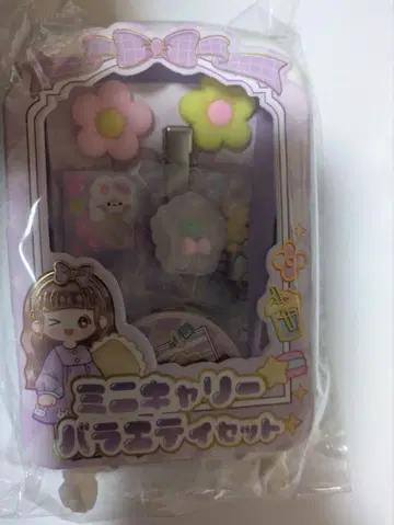 미니 칼리 버라이어티 세트 퍼플