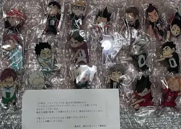 하이큐 아크릴 핀 배지 현상 점프 GIGA 전종 기타 애니메이션 굿즈