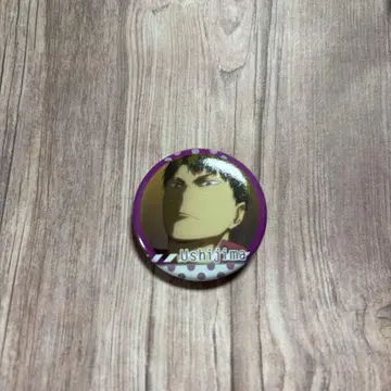 제일복권 하이큐!! B상 복권 포함 캔뱃지 우시지마 와카토시