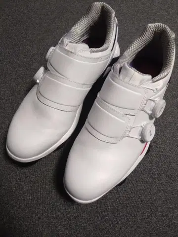 새상품급 FOOT JOY 풋조이 투어 알파 트리플 보아 25.5cm