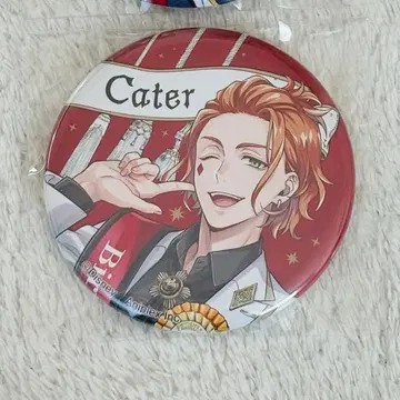 트위스테 오메카시 벌스데이 캔뱃지 케이트