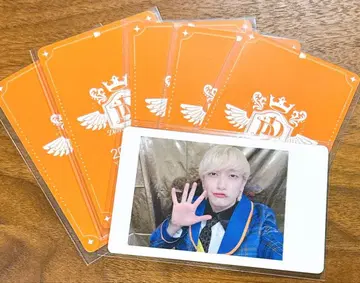 요타 DDP 2025 하피카