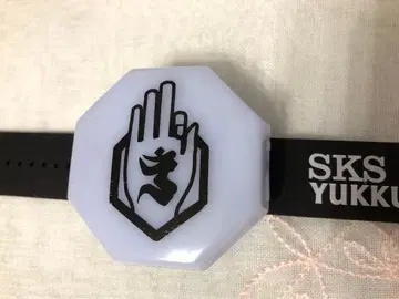 신천지개벽집단 지그재그 천천히 행각 정화 블레스 라이트 팔의 빛