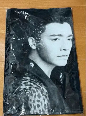 SUPERJUNIOR THE D&E 슬로건 타월 동해 은혁