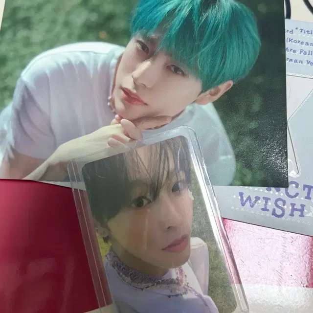 송버드 레터 개봉앨범