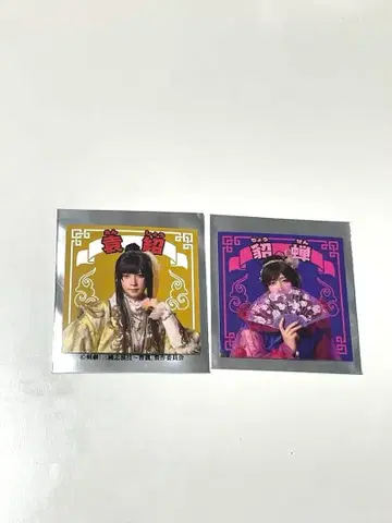 삼국지 스티커 원소 초선 세트