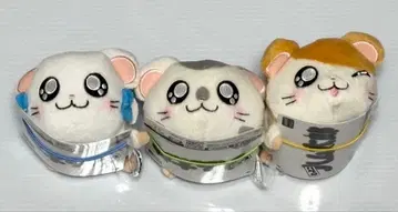 [ 신상품 ]  3세트