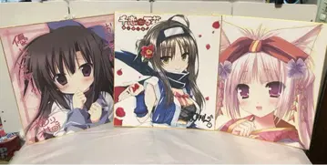 천연만화 히타치 마코 색지 기타 세트