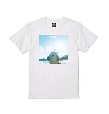 RADWIMPS 특별전 ~무인도에 가져가는 것을 잊은 1장~ 티셔츠 XL