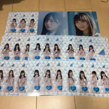 히나타자카 클리어 파일 책갈피 세트