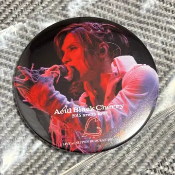 Acid Black cherry 리플렉터 키링 키링 레어