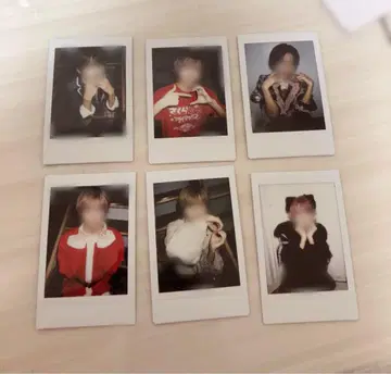 #러브시크 사쿠라 초코라비 사쿠라군. 폴라로이드