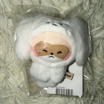 zeroni 하니니 마그넷 사진 홀더 popup 장하오 zb1