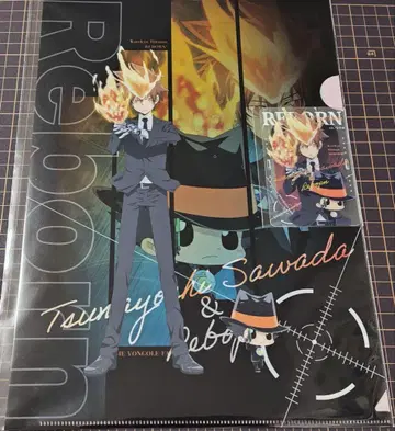 가정교사 히트맨 REBORN! 복권 플라 사와다 츠나요시