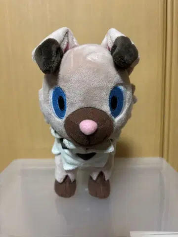 이완코 봉제 인형 2016 택 포함