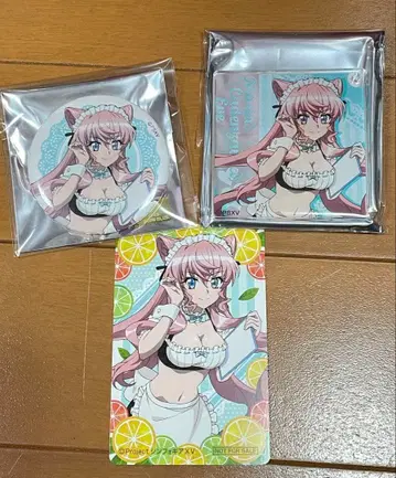 심포기어 돈키호테 마리아 총정리