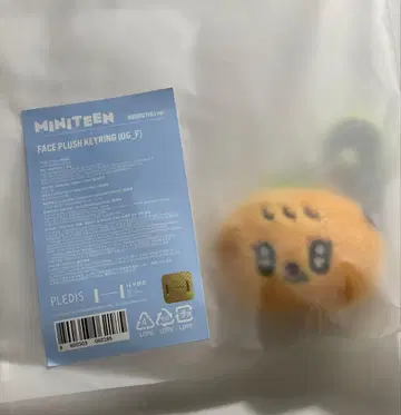 SEVENTEEN miniteen 승관 키링