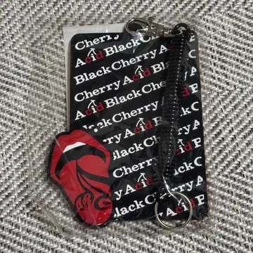 Acid Black Cherry 패스케이스 ABC yasu 굿즈 레어