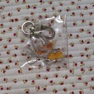 태민 TAEMIN 치바 chiba 키링