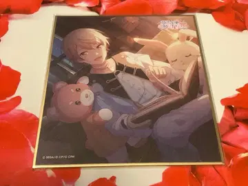 프로세카 색지 30B 꿈의 도중 빛나는 별들에게 츠카사