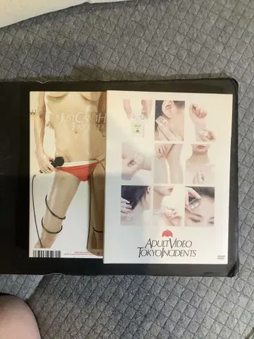시이나 링고 도쿄 사건 DVD 2장