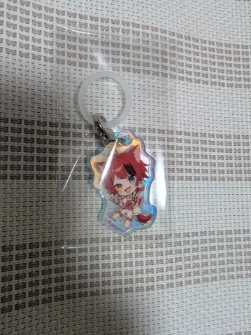 STPR Family 랜덤 오로라 참 스토푸리 리이누