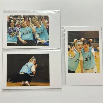 팬더드래곤 요타 DD 대운동회 하피카