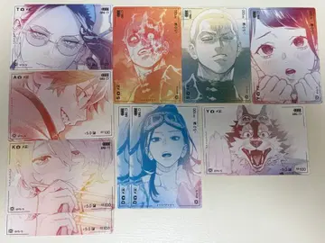 극락가 접사 트레이딩 카드 타오 알마 카나타 야야 요키 다라 세이카