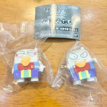 케시카스군 줄 서서 뽑기