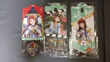 다나카 코토하 멀티 밴드 세트