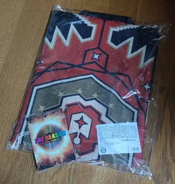 EXILE THE REASON 업그레이드 굿즈