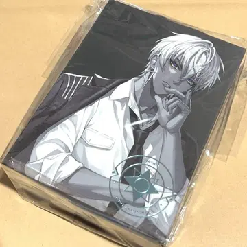 니지산지 이브라힘 TE-Q3-IBR AVOIT 콜라보 이어폰