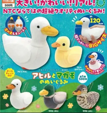 오리와 청둥오리 봉제 인형 전 5종 컴플리트 세트