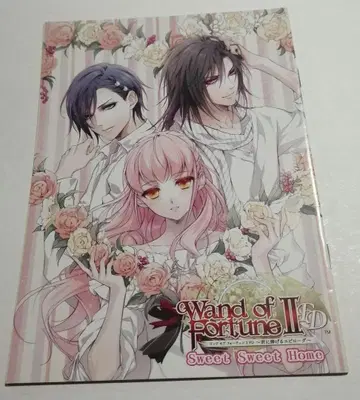 완드 오브 포춘 2FD 너에게 바치는 에필로그 스텔라 세트 특전 소책자