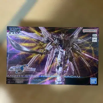 HG 마이티 스트라이크 프리덤 건담