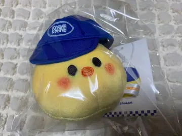 Stray Kids 스키즈 KARMA 볼캡 포가리 키링