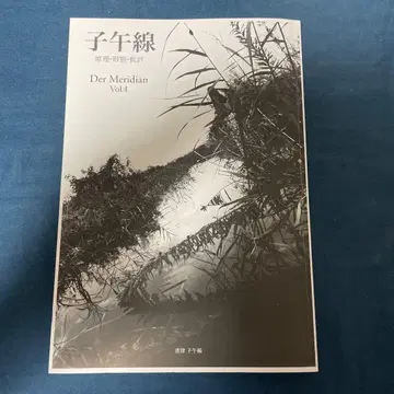 자오선 원리 형태 비평 Vol.4