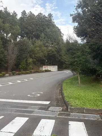 레드윙 8138 6-inch Classic Moc