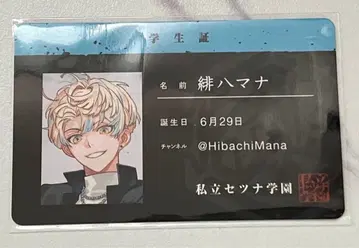 히바치 마나 YANKEE ROAD 랜덤 폴라로이드풍 카드 레어 1장